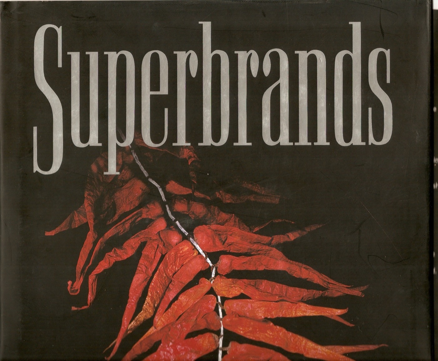 Superbrands book cover featuring Su-Kam